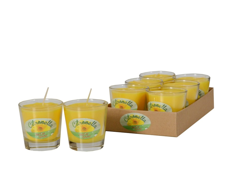 Citronella Glass Candle